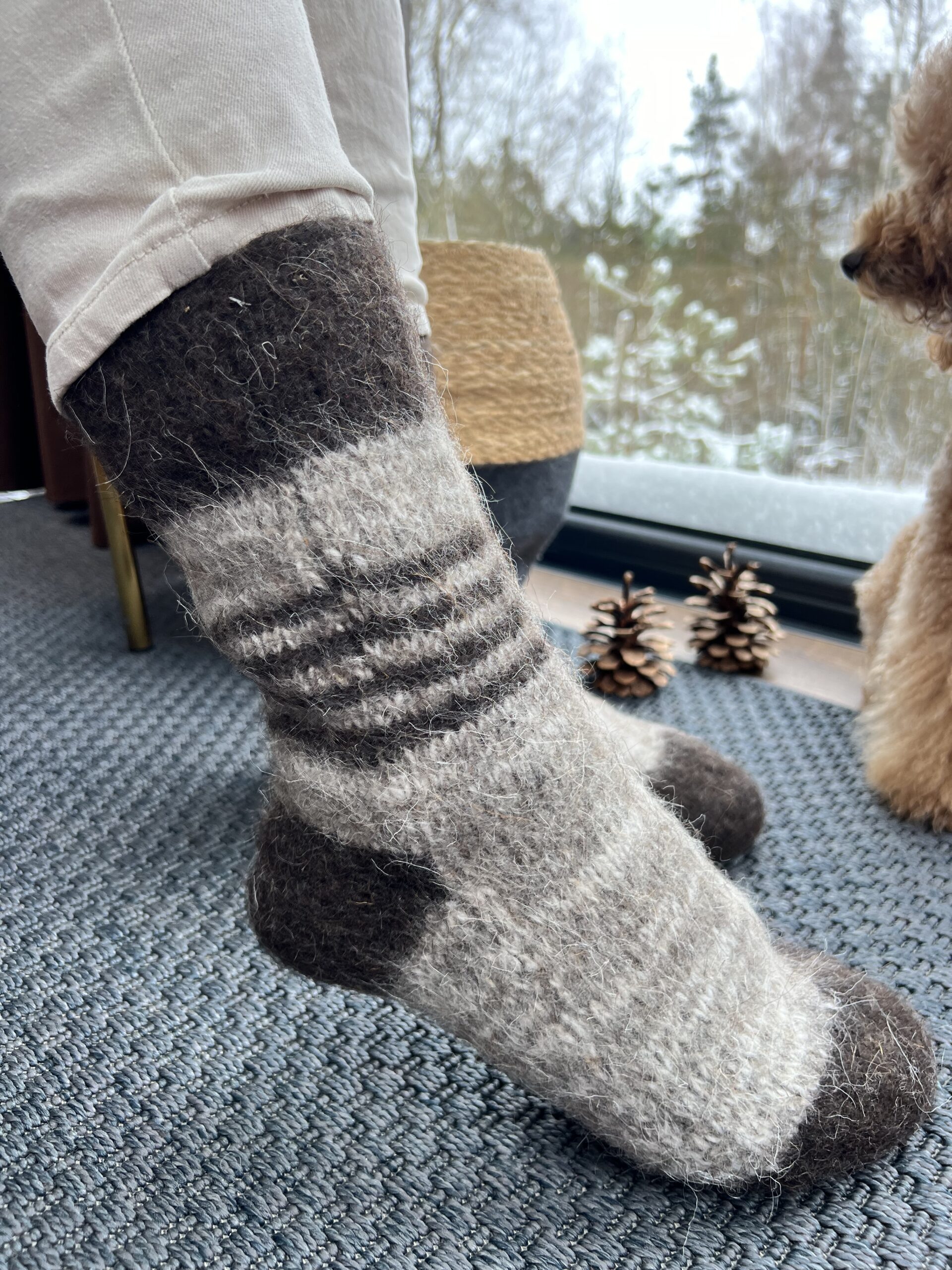 WoolLando natural 100% dog wool socks