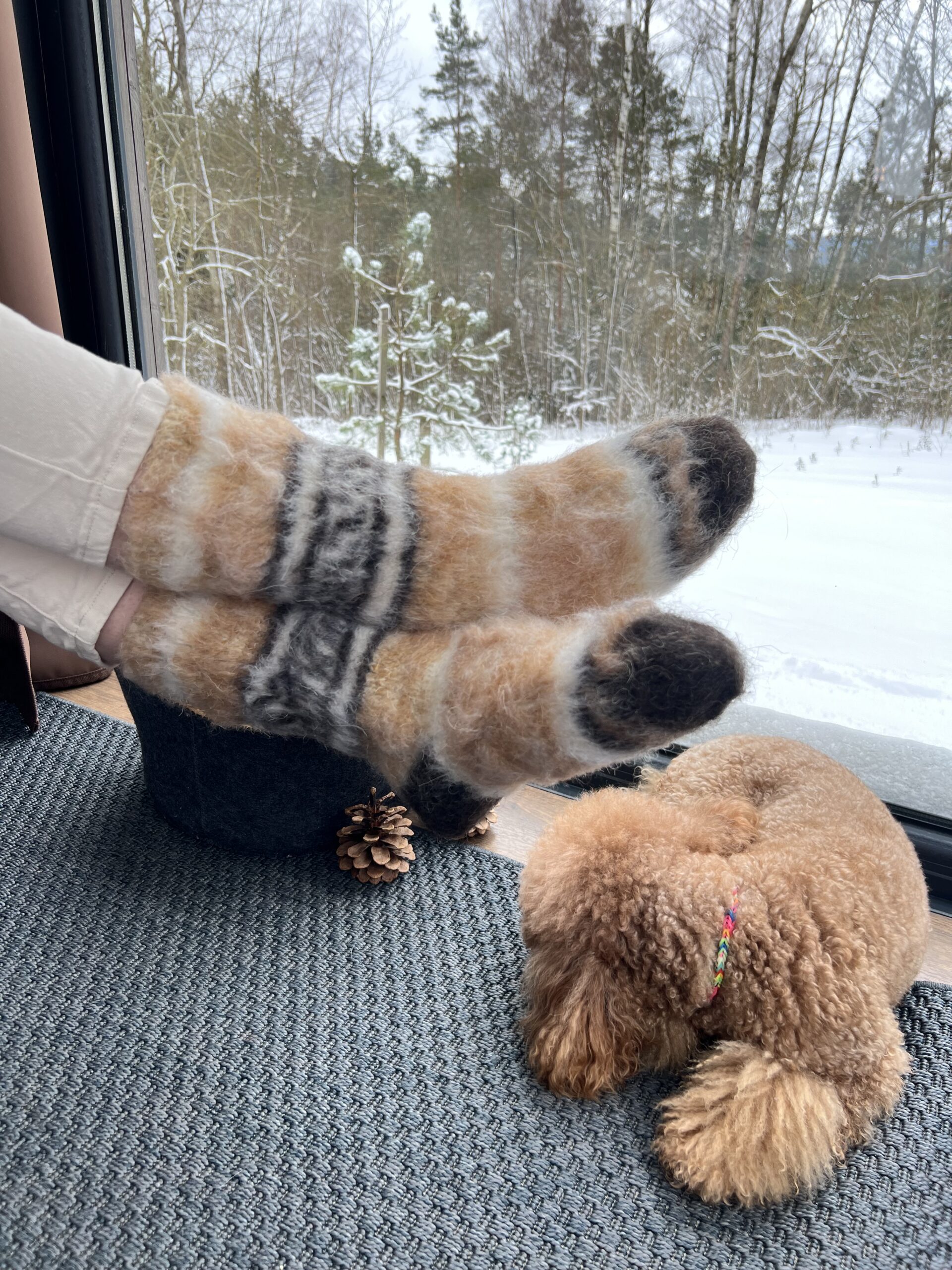 WoolLando natural 100% siberian husky wool YELLOW socks