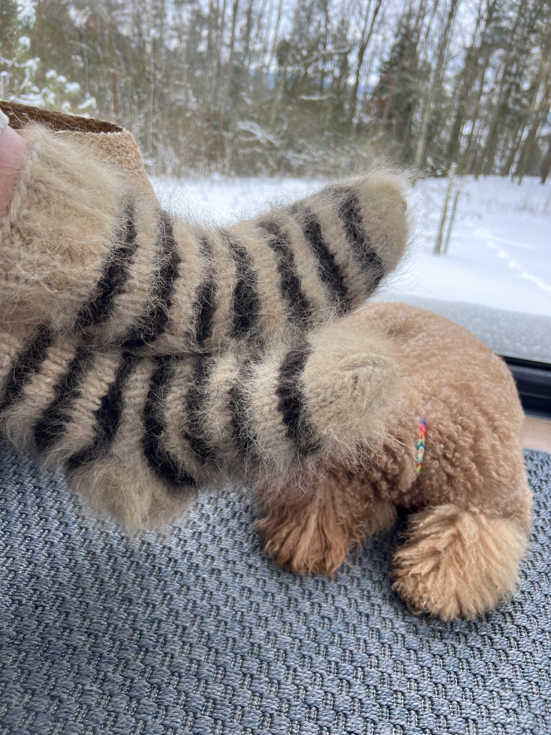 Natural 100% Siberian Husky dog wool striped socks