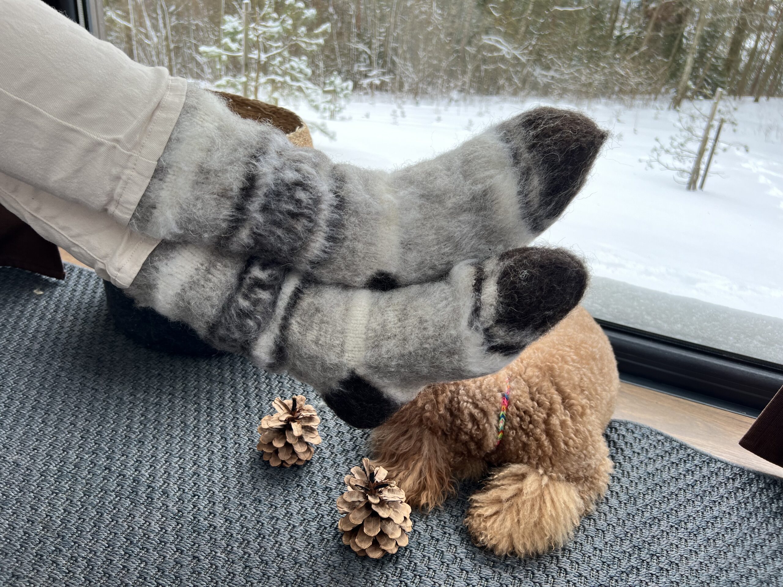 Natural 100% warm dog wool socks