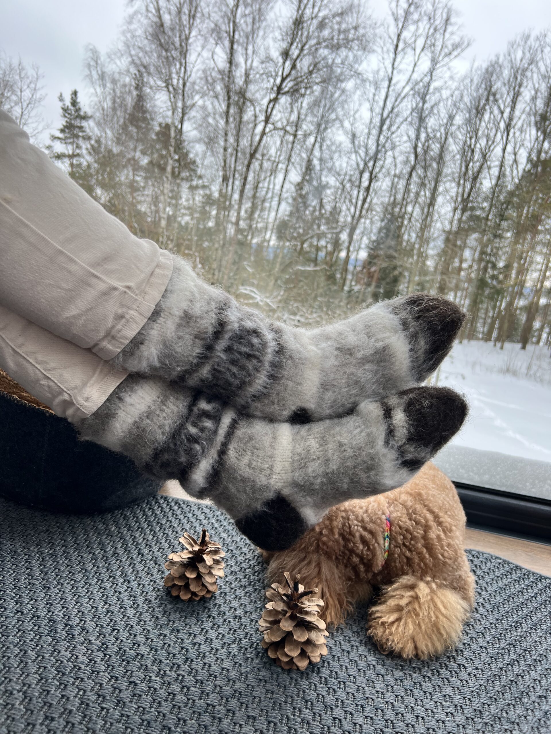 WoolLando natural 100% siberian husky wool socks