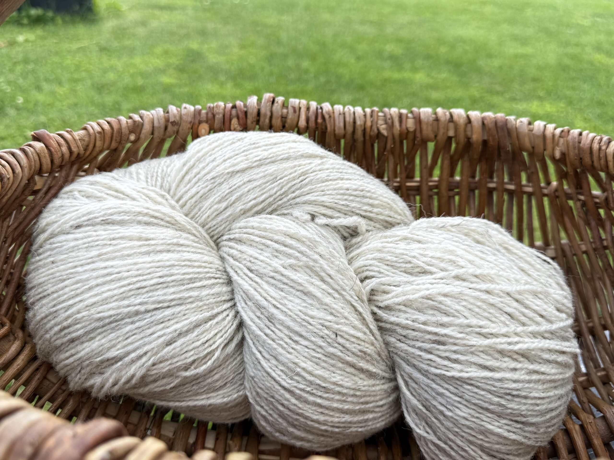 50% dog 50% sheep wool yarn WHITE MELANGE - 1kg