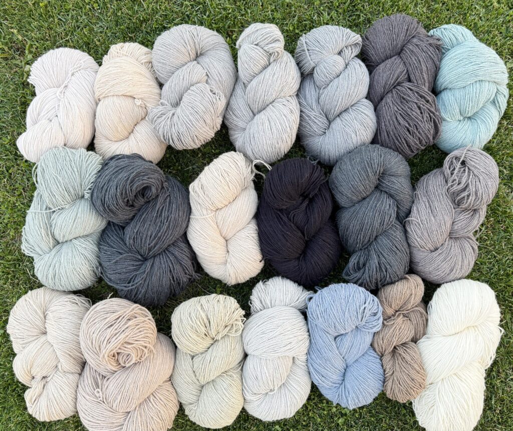 100% sheep wool yarn set NATURALLY COLOURED - 10kg