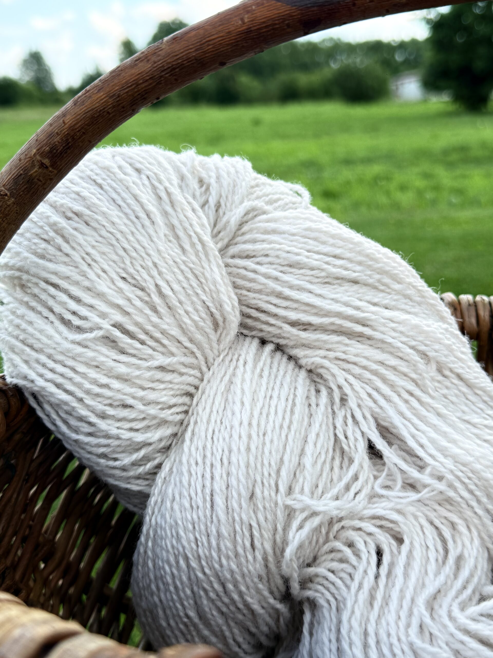 100% New Zealand sheep wool yarn CREAM - 1kg