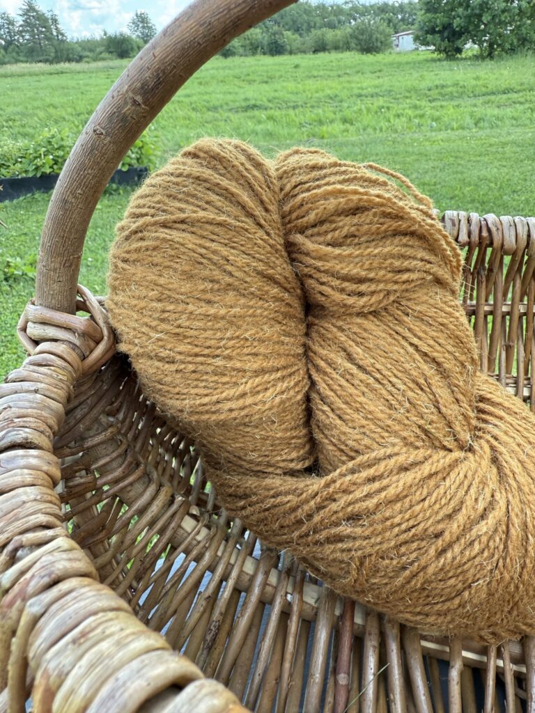 100% natural sheep wool yarn MUSTARD BROWN - 1kg