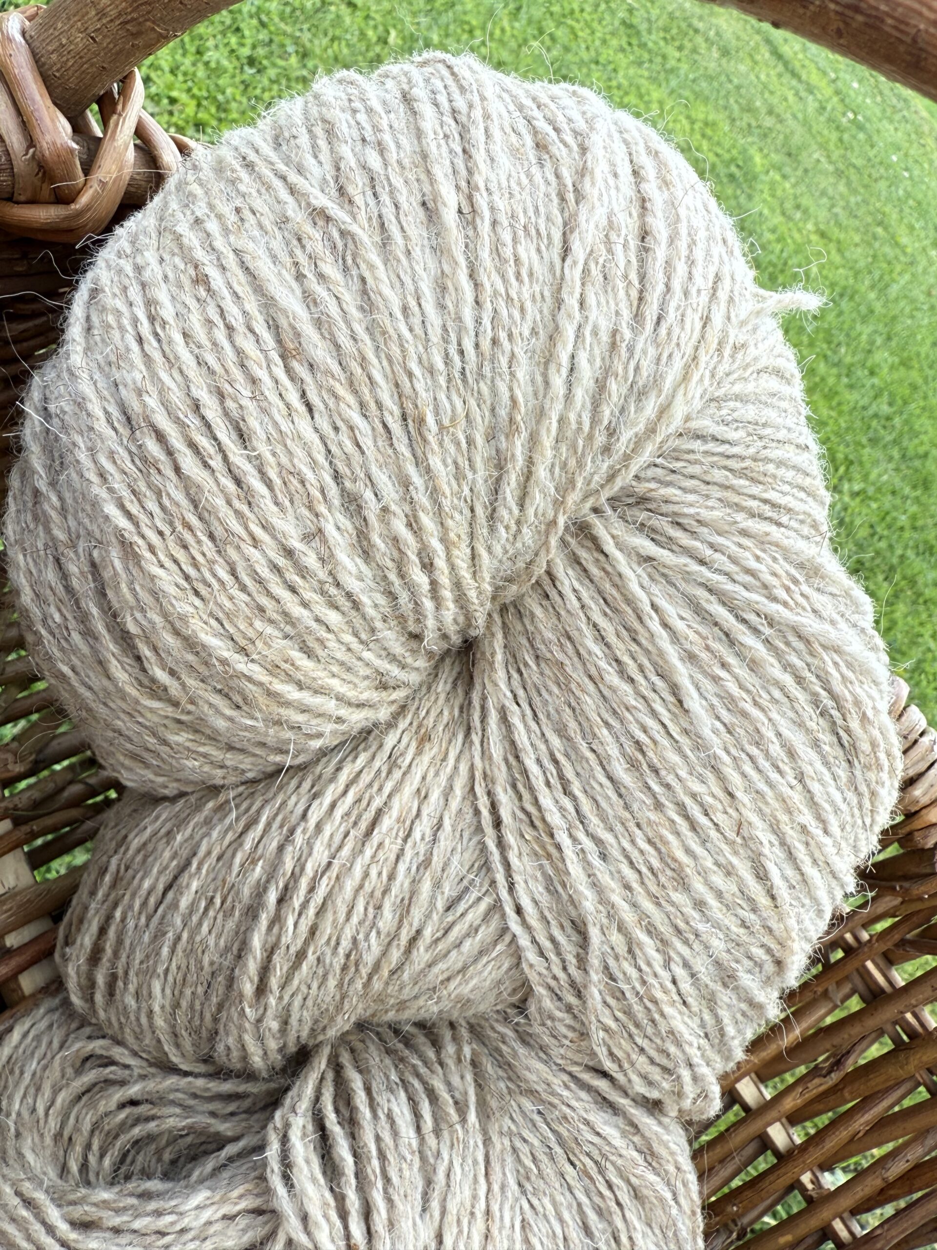 50% dog wool / 50% sheep wool yarn 1 kg – LIGHT YELLOWISH, WoolLando
