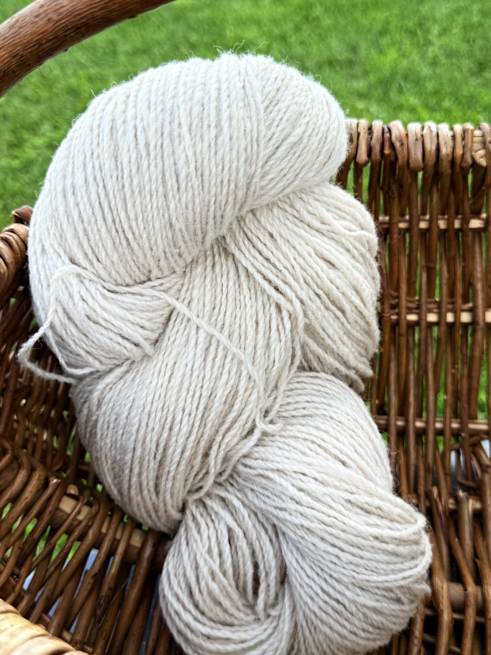 New Zealand sheep wool yarn 1 kg – YELLOWISH, WoolLando