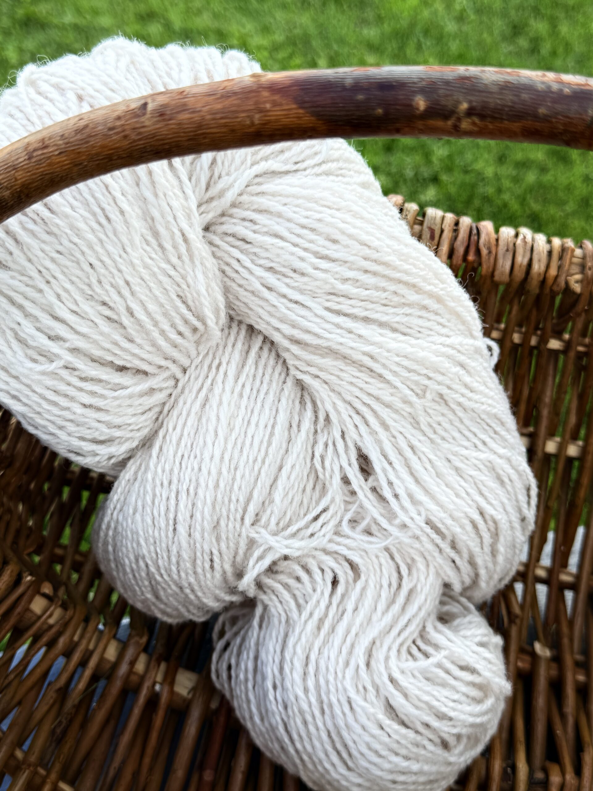 New Zealand sheep wool yarn 1 kg – CREAM, WoolLando