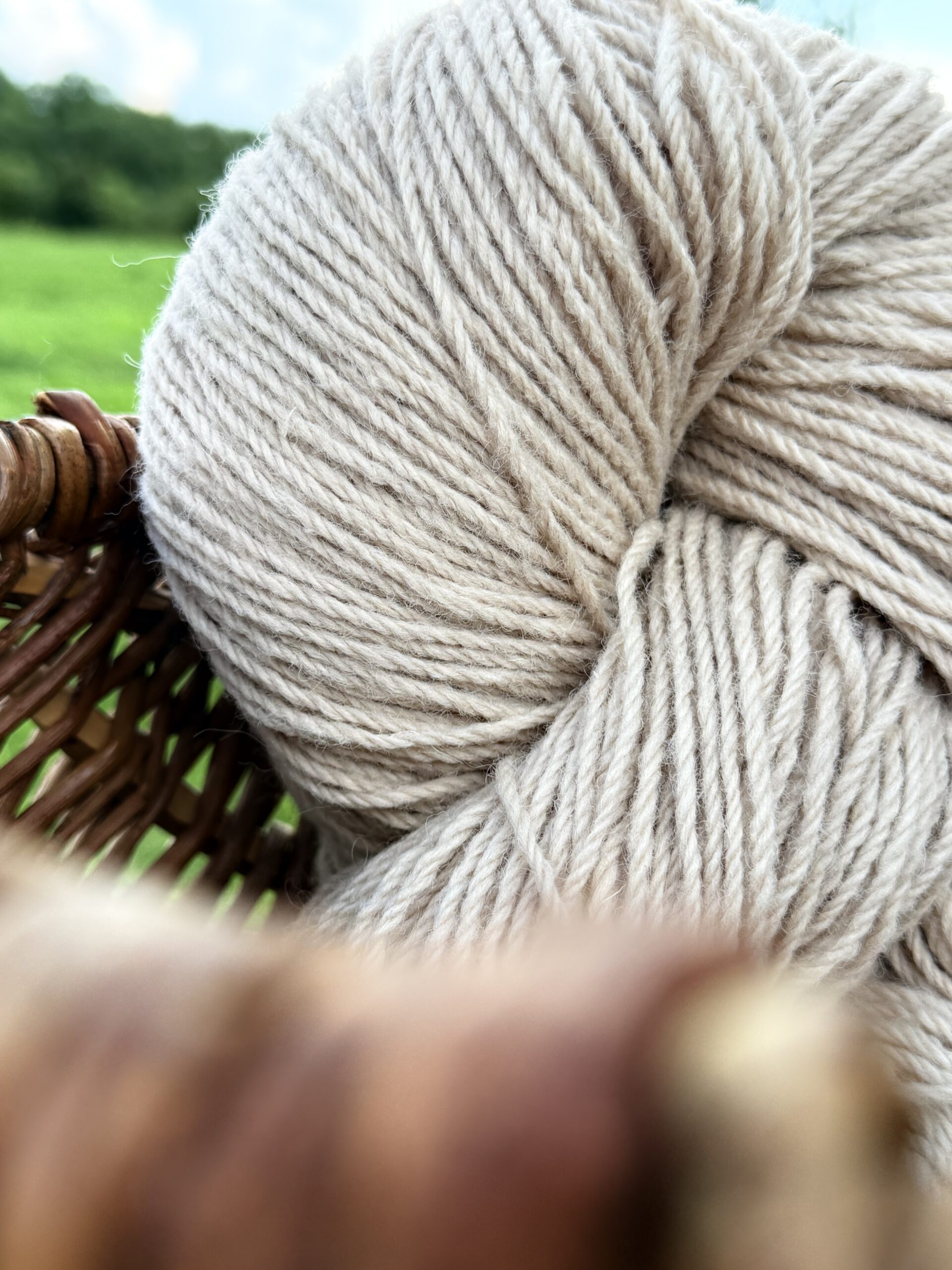 New Zealand sheep wool yarn 1 kg – LIGHT BROWN, WoolLando