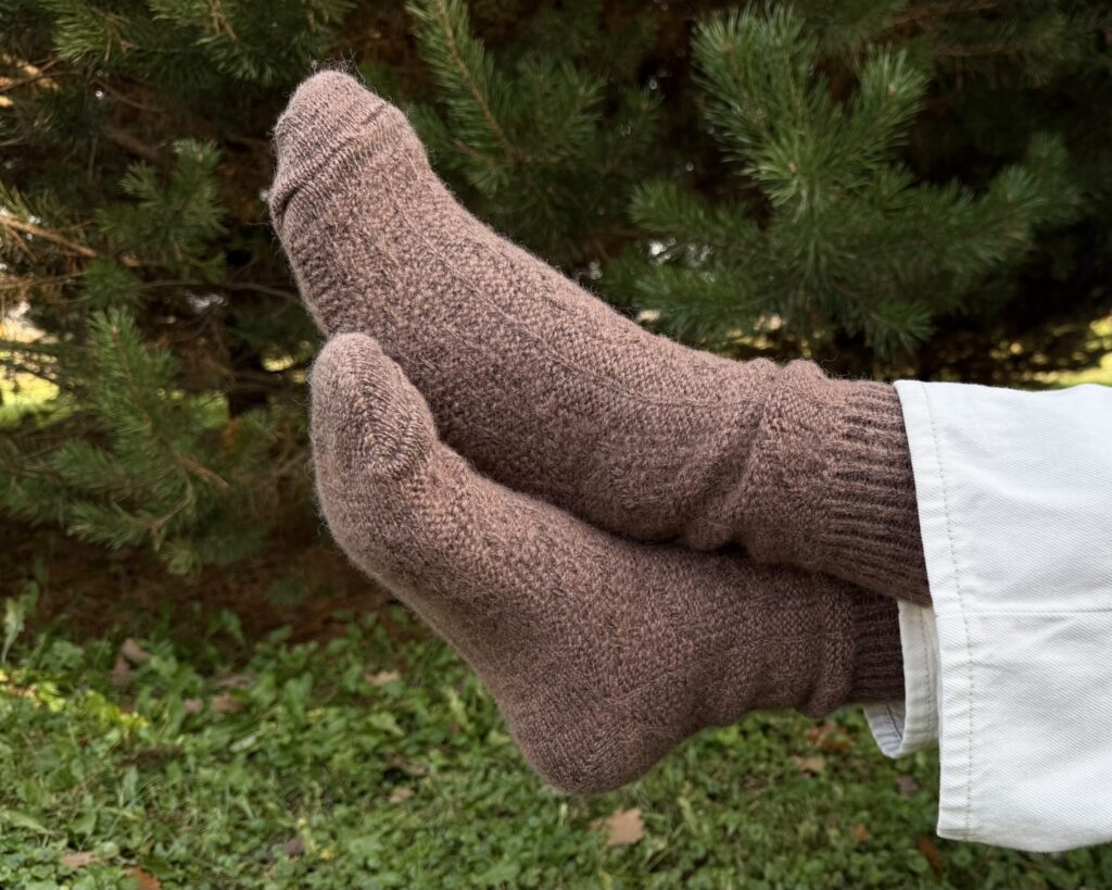 New Zealand sheep wool socks – LATTE, WoolLando