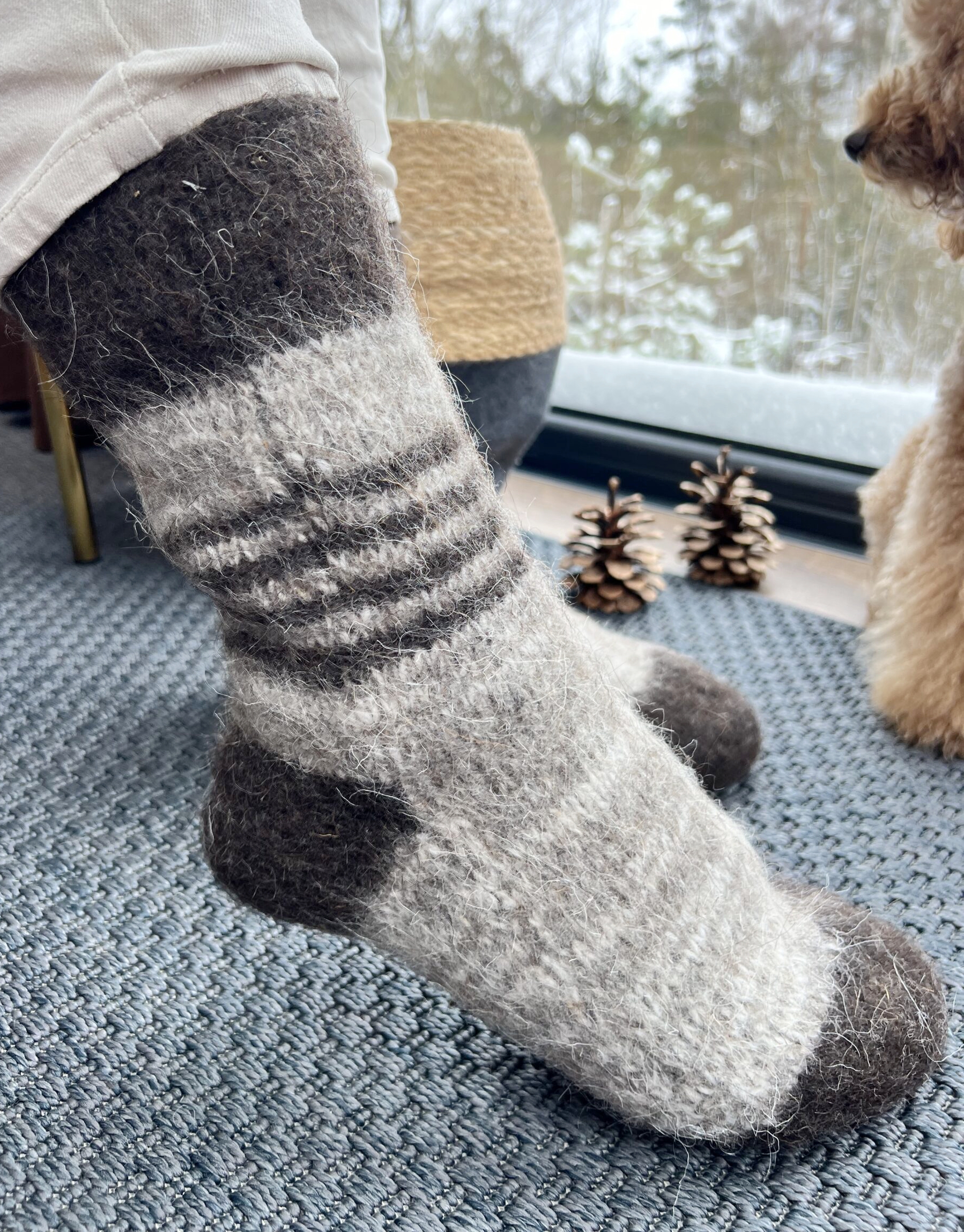 100% for improving blood circulation – dog wool socks, WoolLando