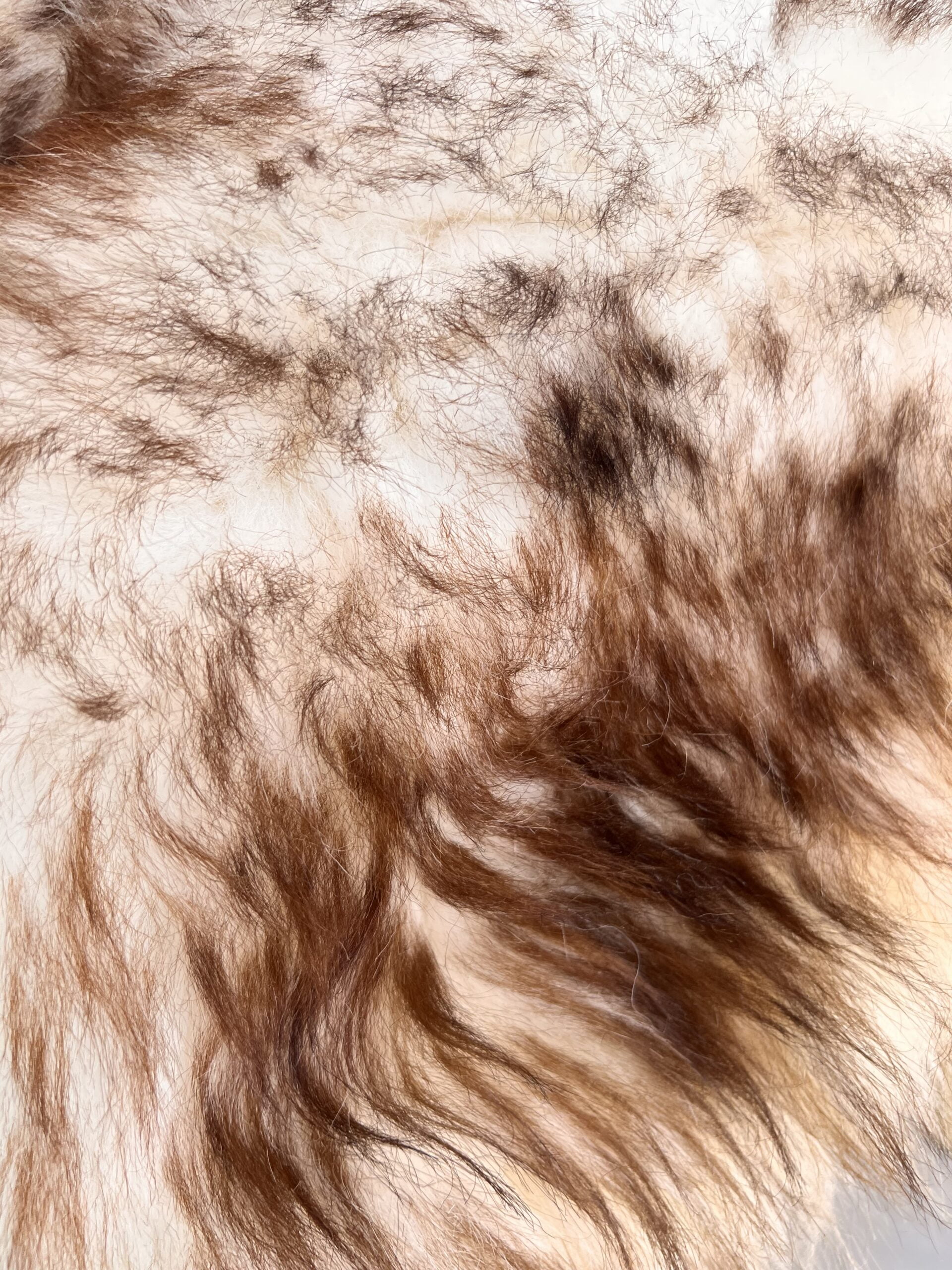 Brown thick merino sheepskin 80 × 120 cm, WoolLando